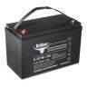 Тяговый гелевый аккумулятор RuTrike 6-GFM-100 (12V108A/H C20)