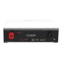 Батарея литий-железо-фосфатная Dyness DL5.0C 51.2V100Ah