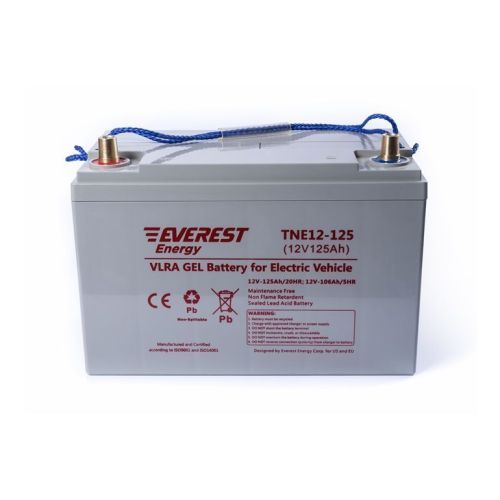 Аккумулятор тяговый Everest Energy TNE 12-125