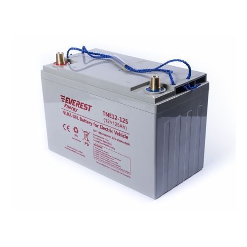 Аккумулятор тяговый Everest Energy TNE 12-125