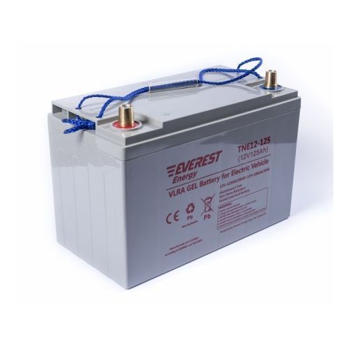 Аккумулятор тяговый Everest Energy TNE 12-125