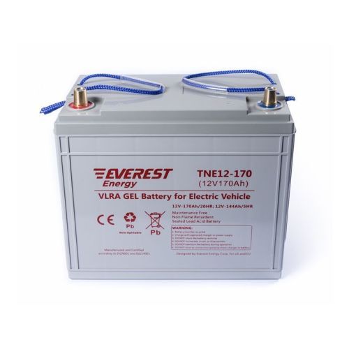 Аккумулятор тяговый Everest Energy TNE 12-170