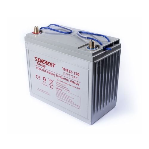 Аккумулятор тяговый Everest Energy TNE 12-170