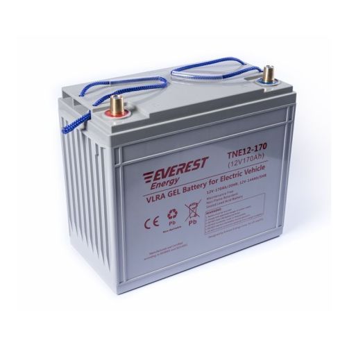 Аккумулятор тяговый Everest Energy TNE 12-170