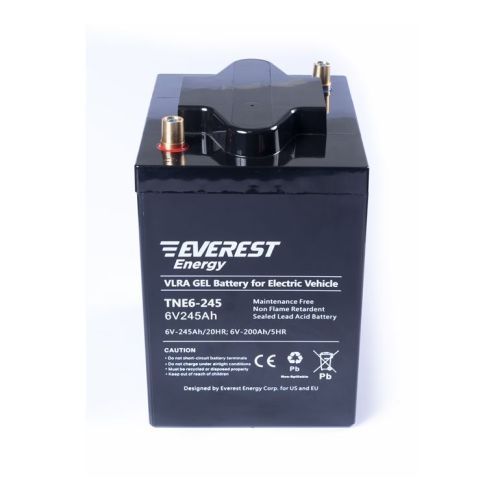 Аккумулятор тяговый Everest Energy TNE 6-245