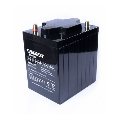 Аккумулятор тяговый Everest Energy TNE 6-245