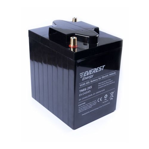 Аккумулятор тяговый Everest Energy TNE 6-245