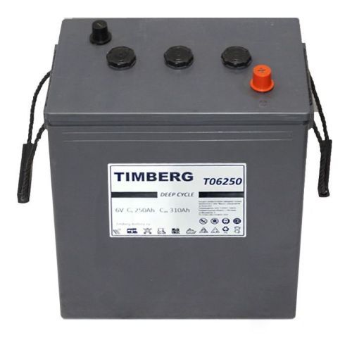 Аккумулятор тяговый Timberg T06250