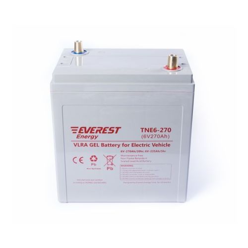 Аккумулятор тяговый Everest Energy TNE 6-270