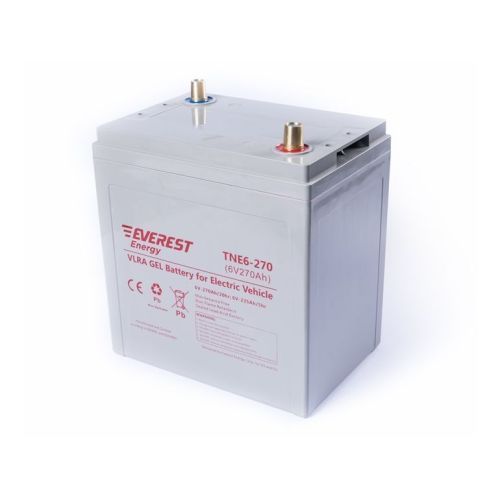 Аккумулятор тяговый Everest Energy TNE 6-270
