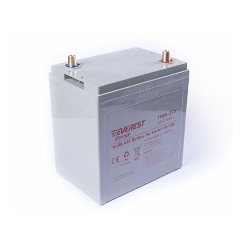 Аккумулятор тяговый Everest Energy TNE 6-270