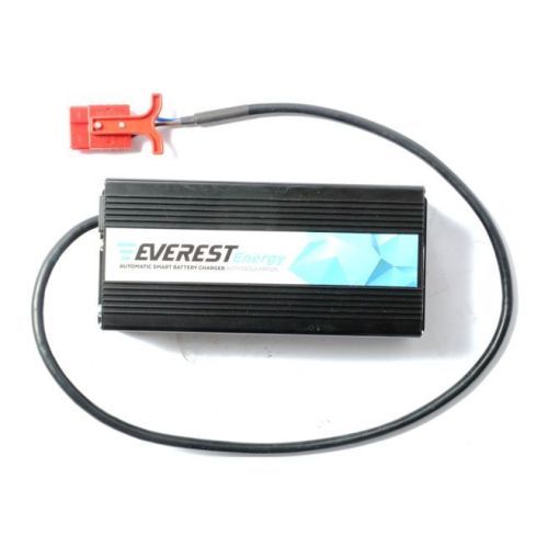 Зарядное устройство Everest Energy EVE-24-12