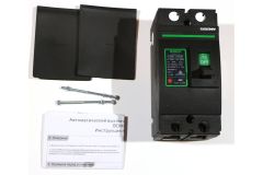 Автоматический выключатель постоянного тока ZJBeny 2P 250А 500В
