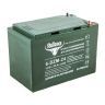 Аккумулятор тяговый RuTrike 6-DZM-24 (12V24A/H C2)