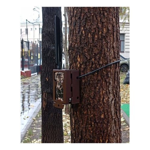 Стальной трос с регулируемой длинной для фиксации и защиты фотоловушек ЕГЕРЬКАМ ОХОТНИК / ЛЕШИЙ (SiFar WillFine 4.8 CG CS)