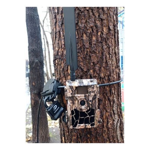 Стальной трос с регулируемой длинной для фиксации и защиты фотоловушек ЕГЕРЬКАМ ОХОТНИК / ЛЕШИЙ (SiFar WillFine 4.8 CG CS)