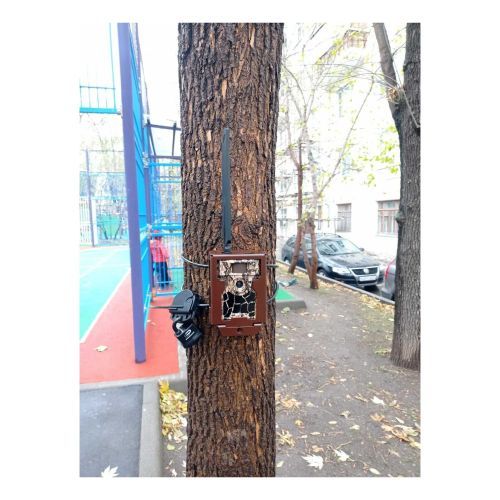 Стальной трос с регулируемой длинной для фиксации и защиты фотоловушек ЕГЕРЬКАМ ОХОТНИК / ЛЕШИЙ (SiFar WillFine 4.8 CG CS)