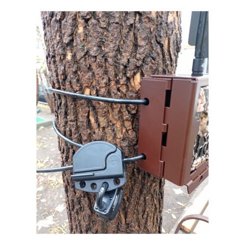 Стальной трос с регулируемой длинной для фиксации и защиты фотоловушек ЕГЕРЬКАМ ОХОТНИК / ЛЕШИЙ (SiFar WillFine 4.8 CG CS)