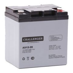 Комплект ИБП Online Challenger HomePro 1000 + 2 АКБ по 28Ач