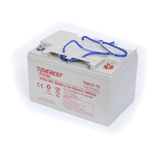 Аккумулятор тяговый Everest Energy TNE 12-75