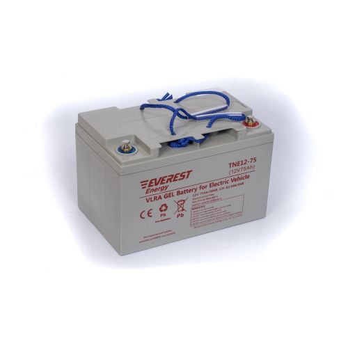 Аккумулятор тяговый Everest Energy TNE 12-75