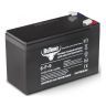 Тяговый гелевый аккумулятор RuTrike 6-F-9 (12V9A/H C20)