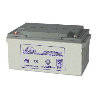 Аккумулятор LEOCH LPG 12-65