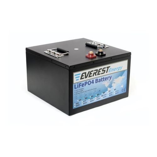 Литиевый аккумулятор Everest Energy LFP-24V100А