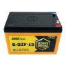 Аккумулятор тяговый Chilwee 6-DZF-13 BG
