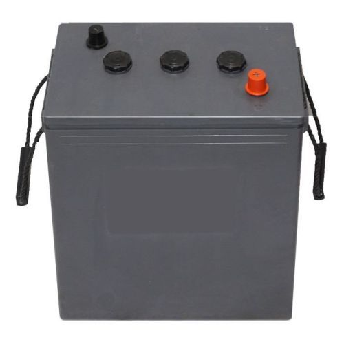 Аккумулятор тяговый Timberg T06300